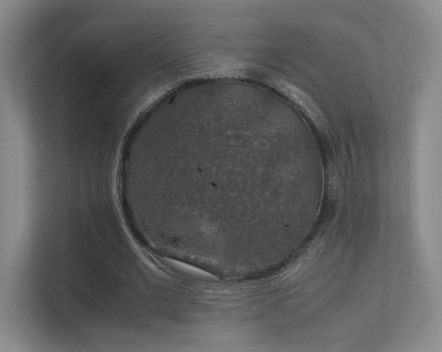 X0000112010677200908101342