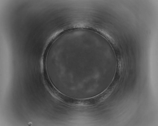 X0000112010678200908101342