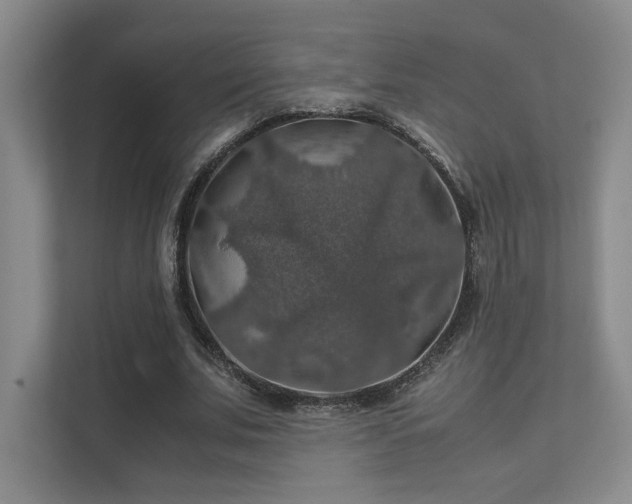 X0000112010679200908101342