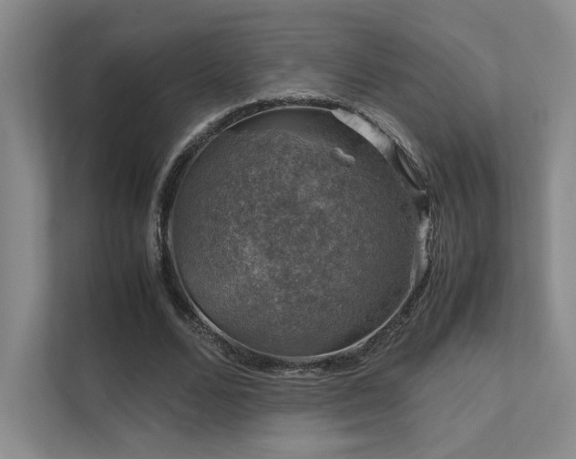 X0000112010680200908101342