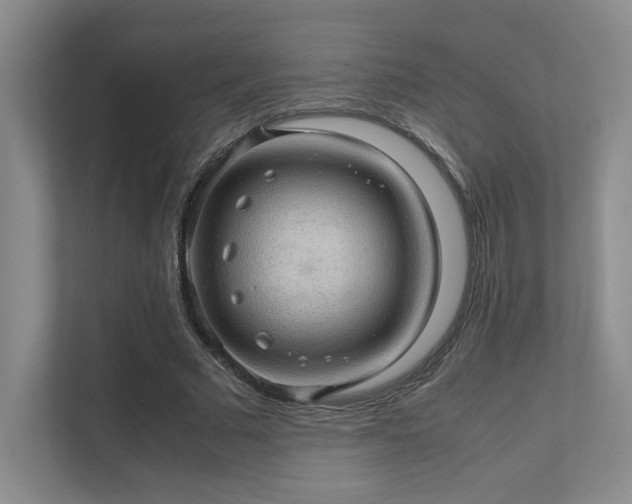 X0000112010681200908101342