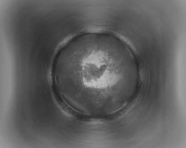 X0000112010682200908101342