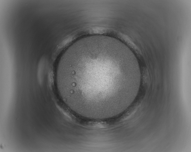 X0000112010683200908101342