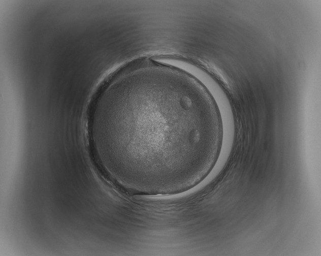 X0000112010684200908101342