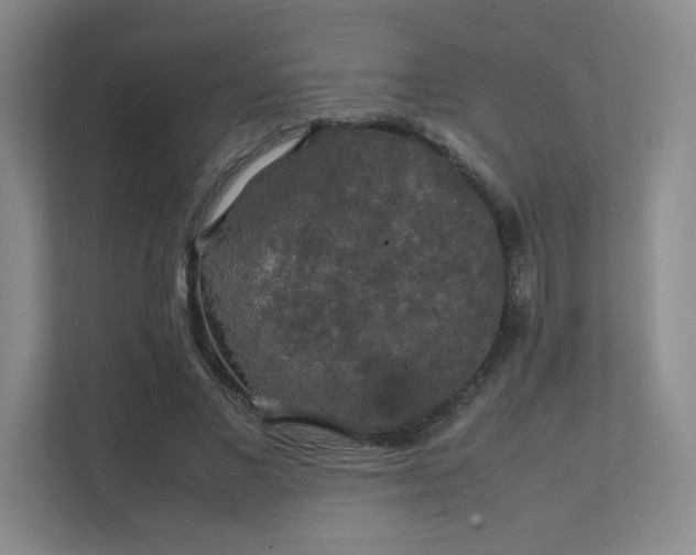 X0000112010685200908101342