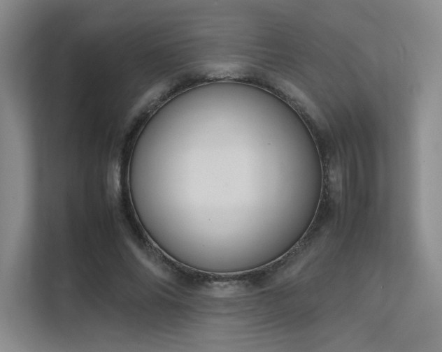 X0000112010686200908101342