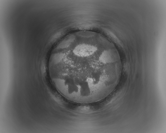 X0000112010687200908101342