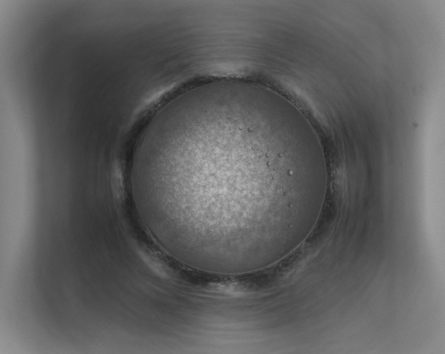 X0000112010688200908101342