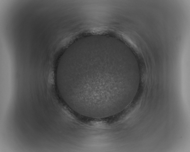 X0000112010689200908101342