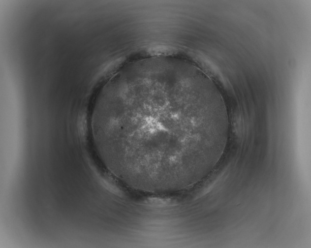 X0000112010690200908101342