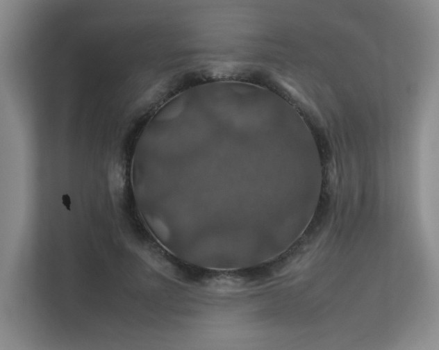 X0000112010691200908101342