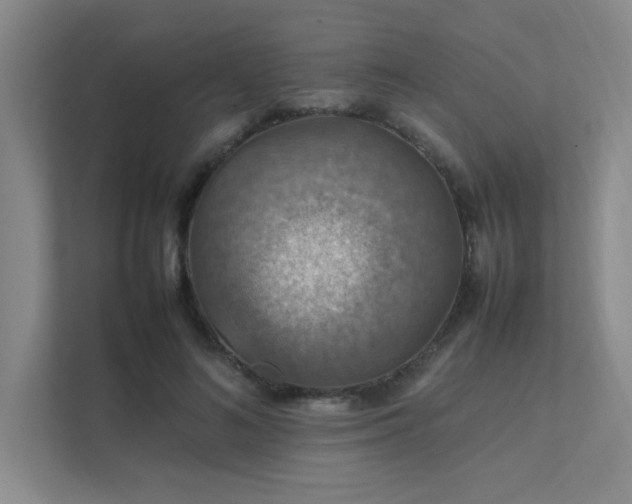 X0000112010692200908101342