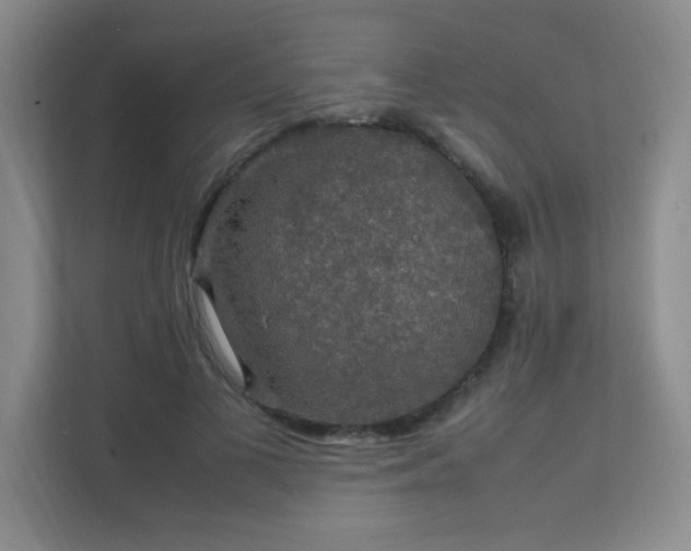 X0000112010693200908101342