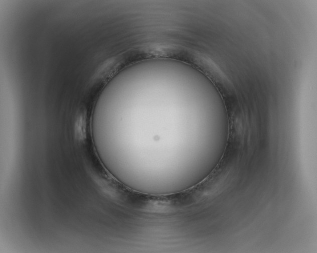 X0000112010694200908101342