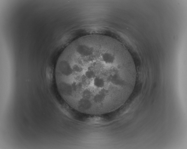 X0000112010695200908101342