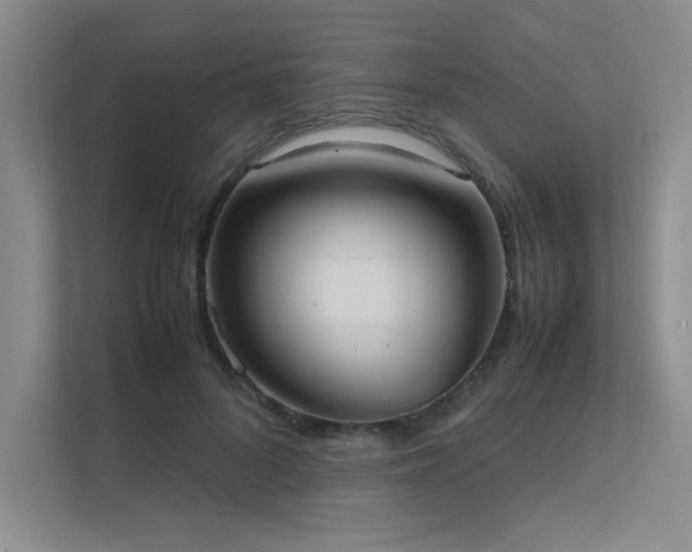 X0000112010696200908101342