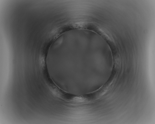 X0000112010699200908101342