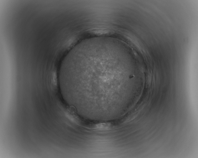 X0000112010700200908101342