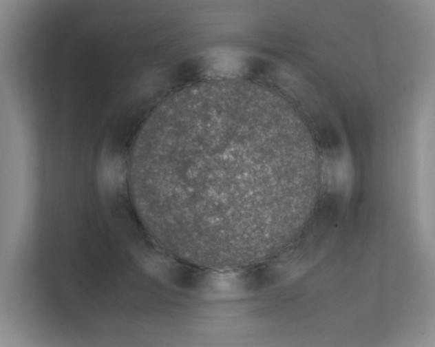 X0000112010701200908101342