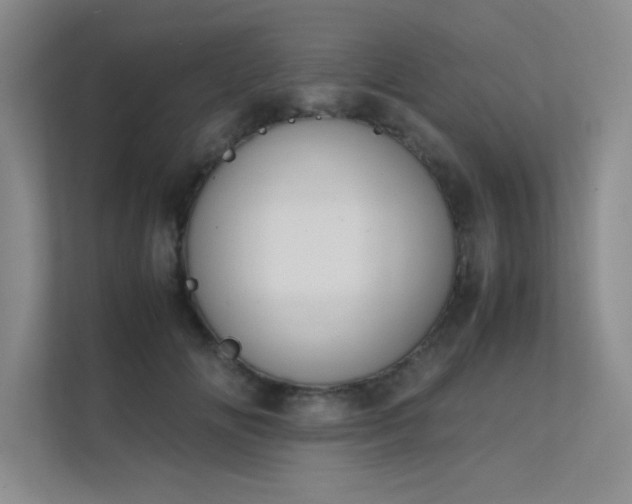 X0000112010702200908101342