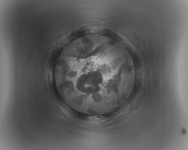 X0000112010703200908101342