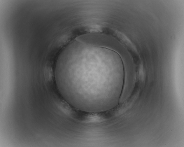 X0000112010704200908101342