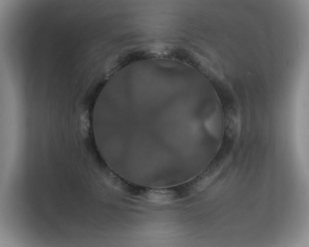 X0000112010707200908101342