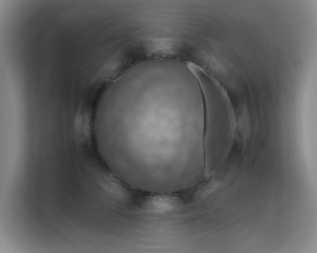 X0000112010708200908101342