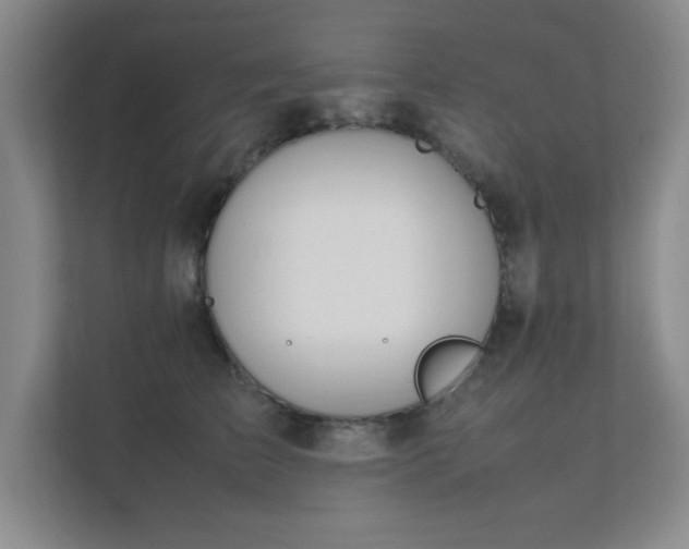 X0000112010709200908101342