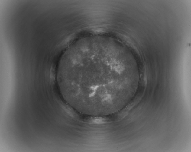 X0000112010710200908101342