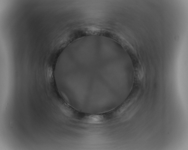 X0000112010711200908101342