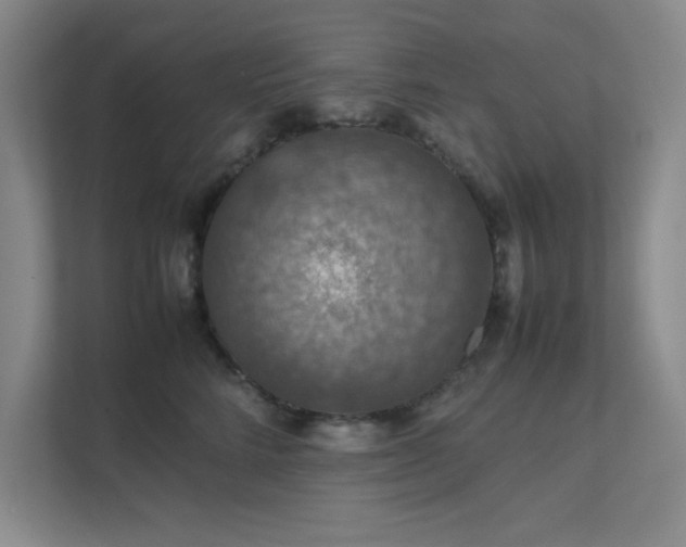 X0000112010712200908101342