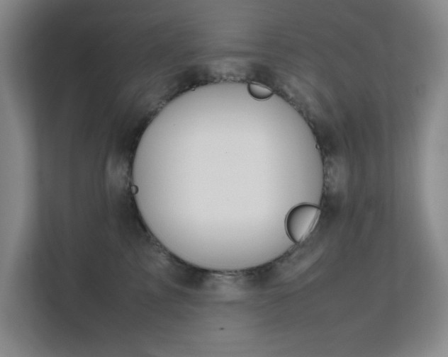 X0000112010713200908101342