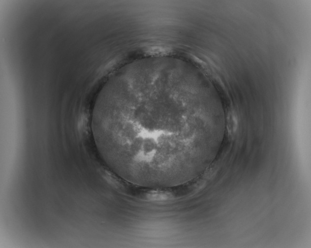 X0000112010714200908101342