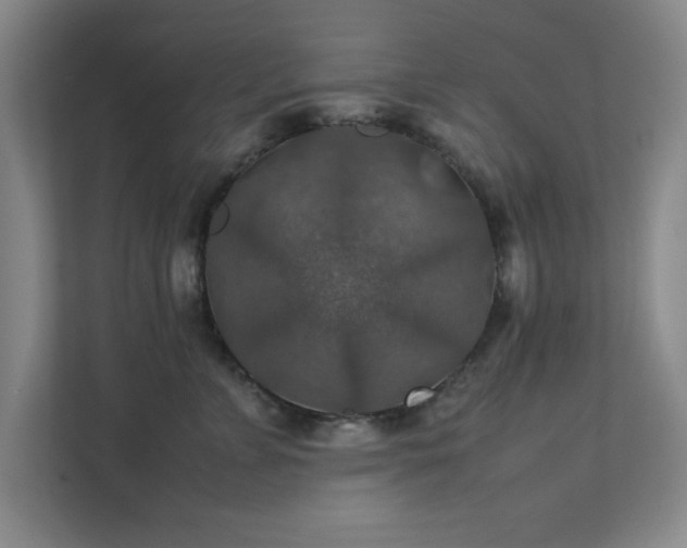 X0000112010715200908101342