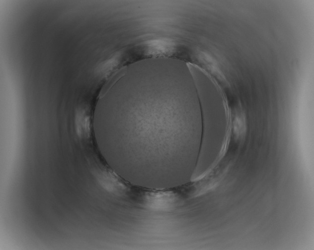 X0000112010716200908101342