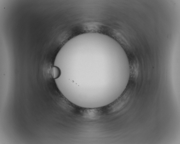 X0000112010717200908101342