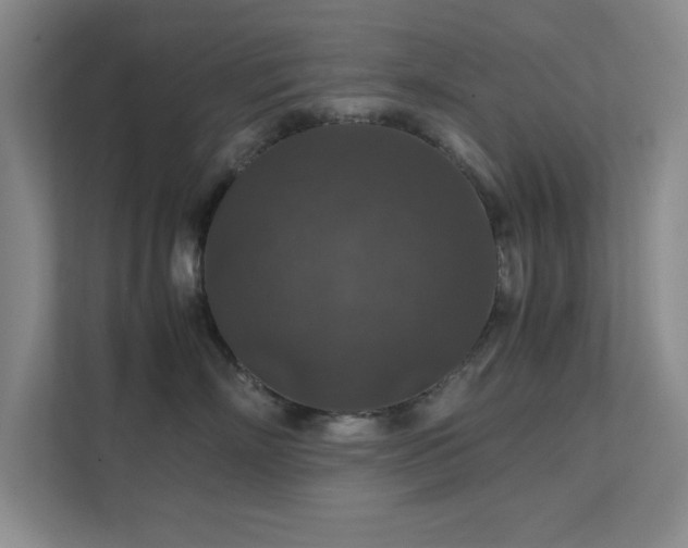 X0000112010718200908101342