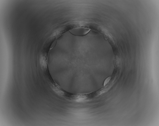 X0000112010719200908101342