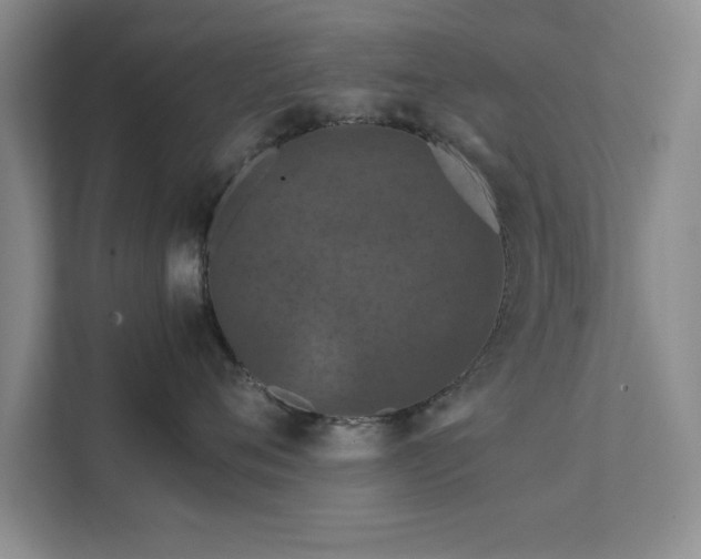 X0000112010720200908101342