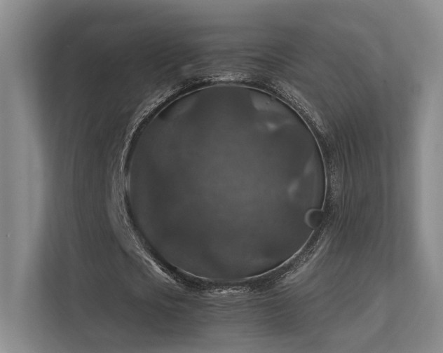 X0000112010721200908101341