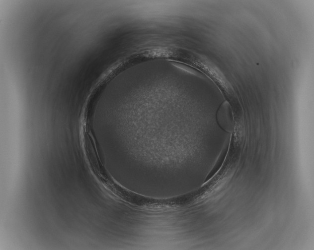 X0000112010722200908101341