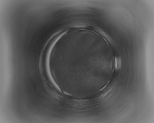 X0000112010723200908101341