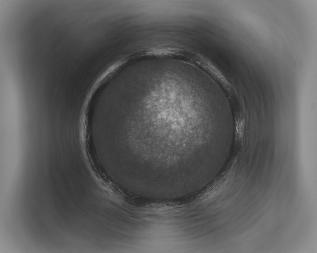 X0000112010724200908101341