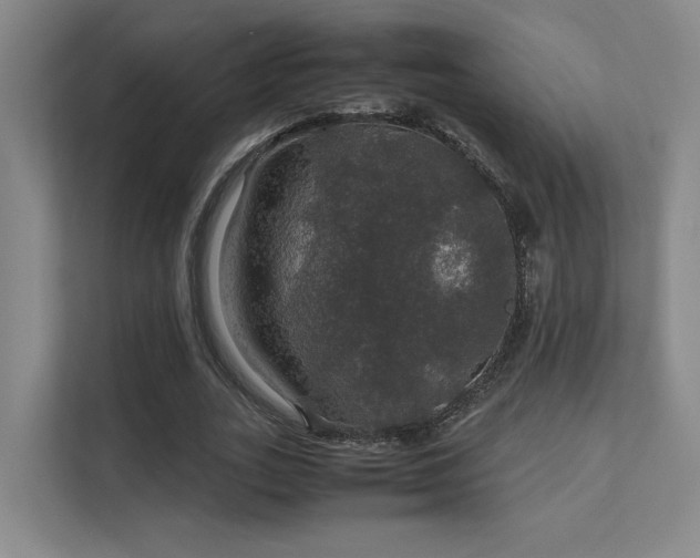 X0000112010727200908101341