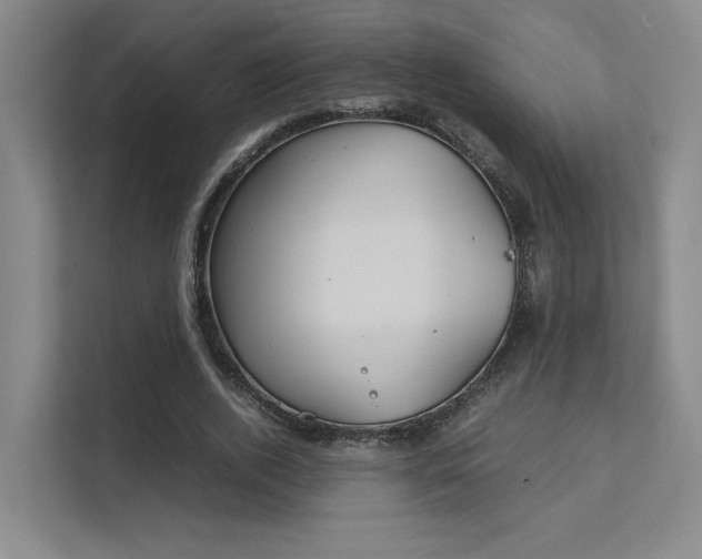 X0000112010728200908101341