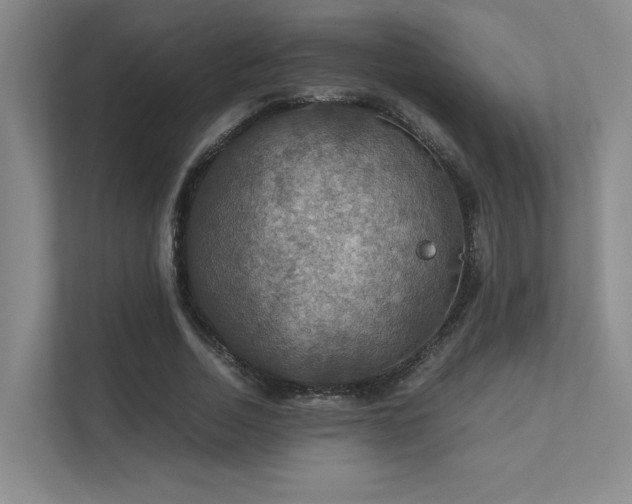 X0000112010730200908101341