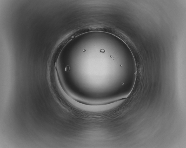 X0000112010732200908101341