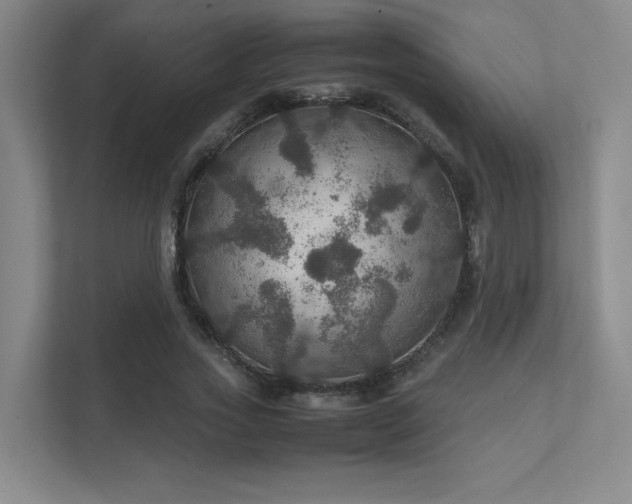 X0000112010733200908101341