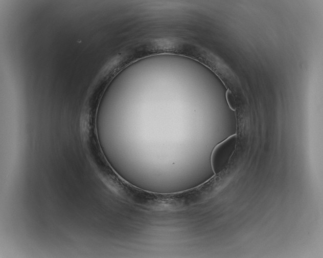 X0000112010736200908101341